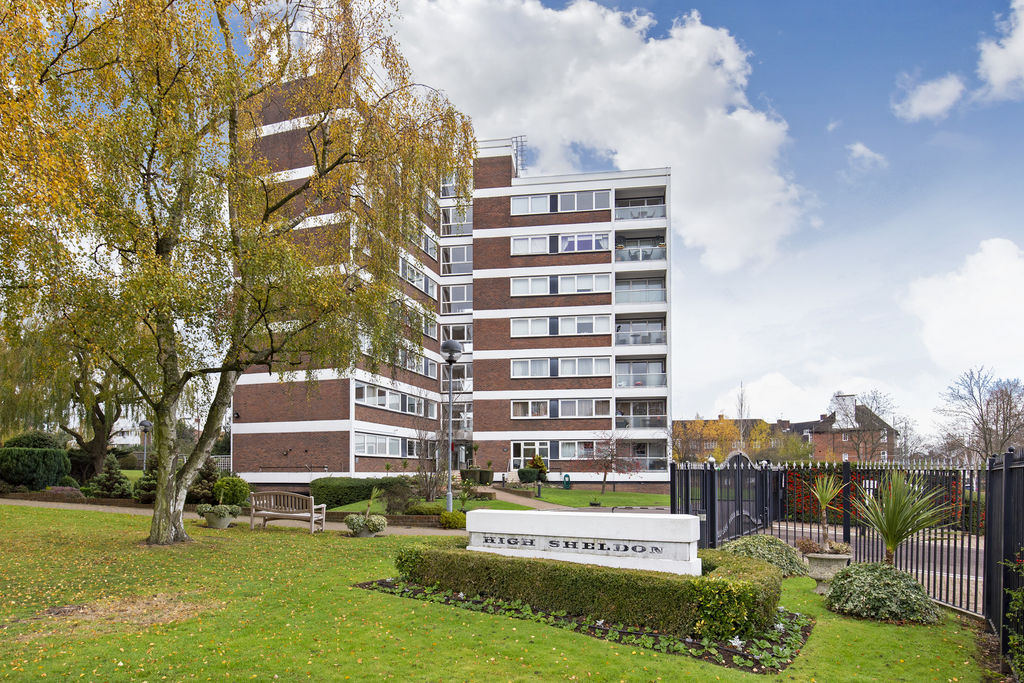 Main Image